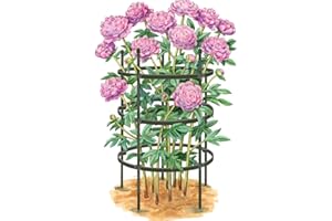 Gardener's Supply Company Titan Peony Plant Support Stakes | Made with Durable Metal Core and Polyethylene Frame for Upright Flower Protection- Set of 2