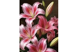Lily Flowers Diamond Art Kits for Adults, Easy Crafts 5D Diamond Painting Dot Kit for Adult Beginners, Plant Flower DIY Round
