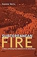 Subterranean Fire: A History of Working-Class Radicalism in the United States