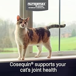 Nutramax Cosequin for Cats Joint Health