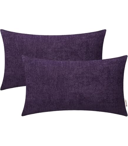 JAUXIO - Juego De 2 Fundas De Almohada De Terciopelo De Vidrio Plisado Con F 1865171