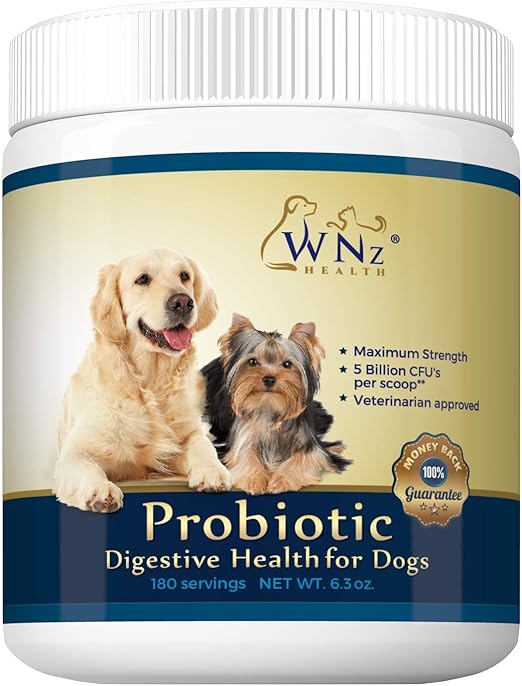 pumpkin for dog diarrhea dosage