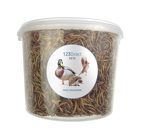 123Direct - Premium Mehlwürmer | Proteinreicher Leckerbissen zum Füttern - geeignet für alle Wildvögel im Garten