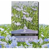 Outsidepride Blue Flax Seeds - 5000 Pcs Perennial Flower Seeds for Planting, Self-Seeding, Drought-Tolerant w/Compact Growth, Ideal for Small Gardens, Meadows, Borders, or Mass Plantings