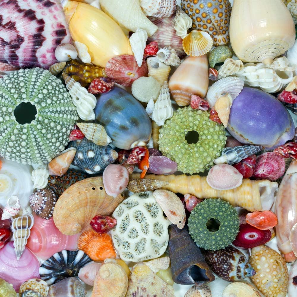 Mosaic Puzzles - Wooden Jigsaw Puzzle – Ocean Treasures - 104 Unique Pieces - Made in the USA