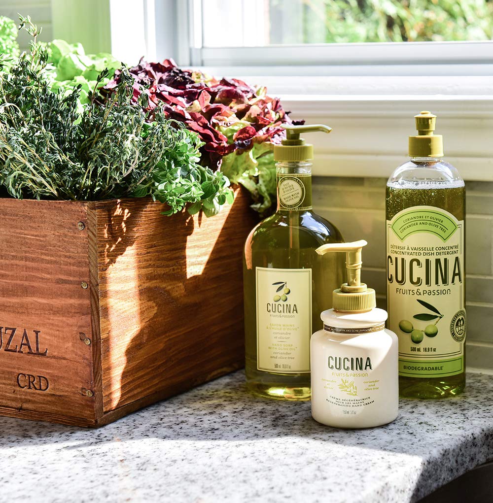 Cucina Coriander and Olive Tree 33.8 oz Purifying Hand Wash Refill : Hand Soap : Beauty