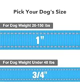 Taglory Dog Leash Small Medium Reflective Soft Neoprene Handle 2cm x 180cm Sky view 4