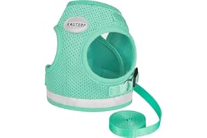 GAUTERF Cat Harnesses and Puppy Harness with Leashes Set, Escape Proof Cat Harness, Adjustable Reflective Soft Mesh Vest Fit Puppy Kitten Rabbit Ferrets's Outdoor Harness