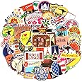 Waterproof Vinyl Stickers for Laptop Luggage Scrapbook Postcard (100Pcs Travel Style)