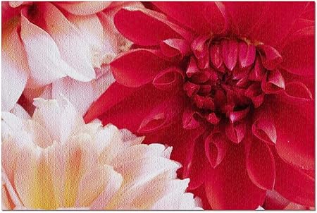 Amazon Co Jp Hdクローズアップマクロの赤とピンクのダリアの花 52 38cmプレミアム500ピースジグソーパズル アメリカ製 おもちゃ Amazon Co Jp Hdクローズアップマクロの赤とピンクのダリアの花 52 38cmプレミアム500ピースジグソーパズル アメリカ製 おもちゃ