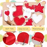 Divina Vitae Felt Sheets 7x11 Inches 10 Pack Red Black White Green Brown view 6