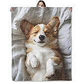 Corgi Dog Throw Blanket for Girls Boys Kids Adults, 50x60 in, Cozy Flannel Blanket for Bedroom, Camping, Couch, Room Decor, Fuzzy Warm Soft Gifts