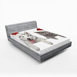 Ambesonne Christmas Fitted Sheet, Dog and Cat in
