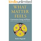 What Matter Feels: Consciousness, Energy and Physics (How Science can Explain Minds)