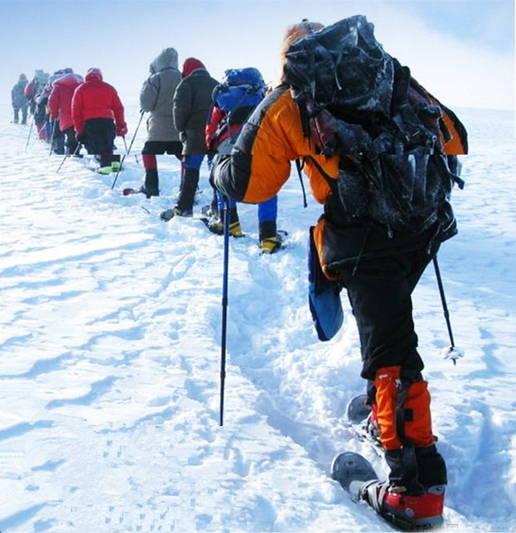 GOTOONE Walking Sticks Hiking Trekking Poles Telescoping Collapsible Folding Lightweight Ultra Strong Anti Shock for Women Men with Reflective Wrist Straps Black 2 Pack