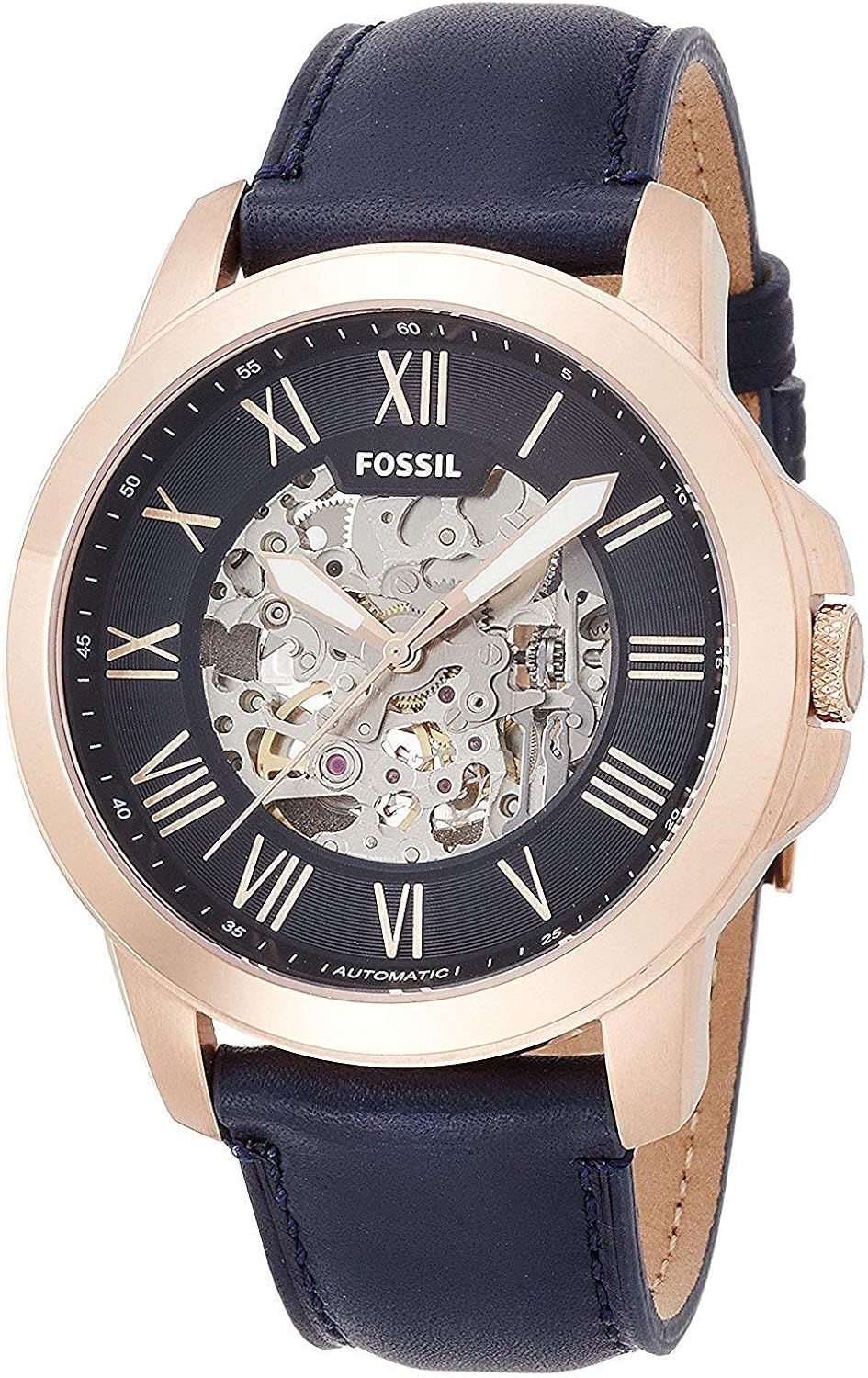fossil squelette automatique