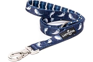 Lucy & Co. 5 Foot Designer Dog Leash – Puppy Leash – Pet Accessories & Supplies (Shark Attack, Small)