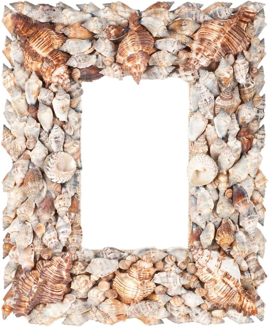 Terragrafics Beachcomber Wall Mounted Shell Mirror, 18 by 24-Inch, Brown