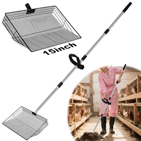 EVDKC 15″ LARGE CHICKEN COOP SCOOPER FOR SAND – HEAVY DUTY STAINLESS STEEL POOP SCOOPER WITH 38-64″ TELESCOPING HANDLE – ADJUSTABLE POULTRY MANURE RAKE & SIFTER SHOVEL FOR EASY CLEANING