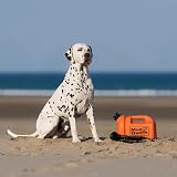 Mud Daddy Dog Washer Portable Paw Cleaner 5L Capacity Orange view 8