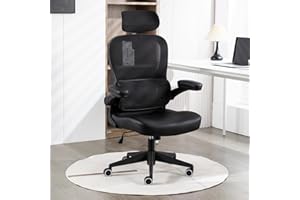 ESTRUCO Home Office Chair High Back Computer Desk Chair Ergonomic Task Chair Executive Chair with Lumbar Support Recliner Chair with Adjustable Headrest,Flip-up Armrests (Black Nylon Base)