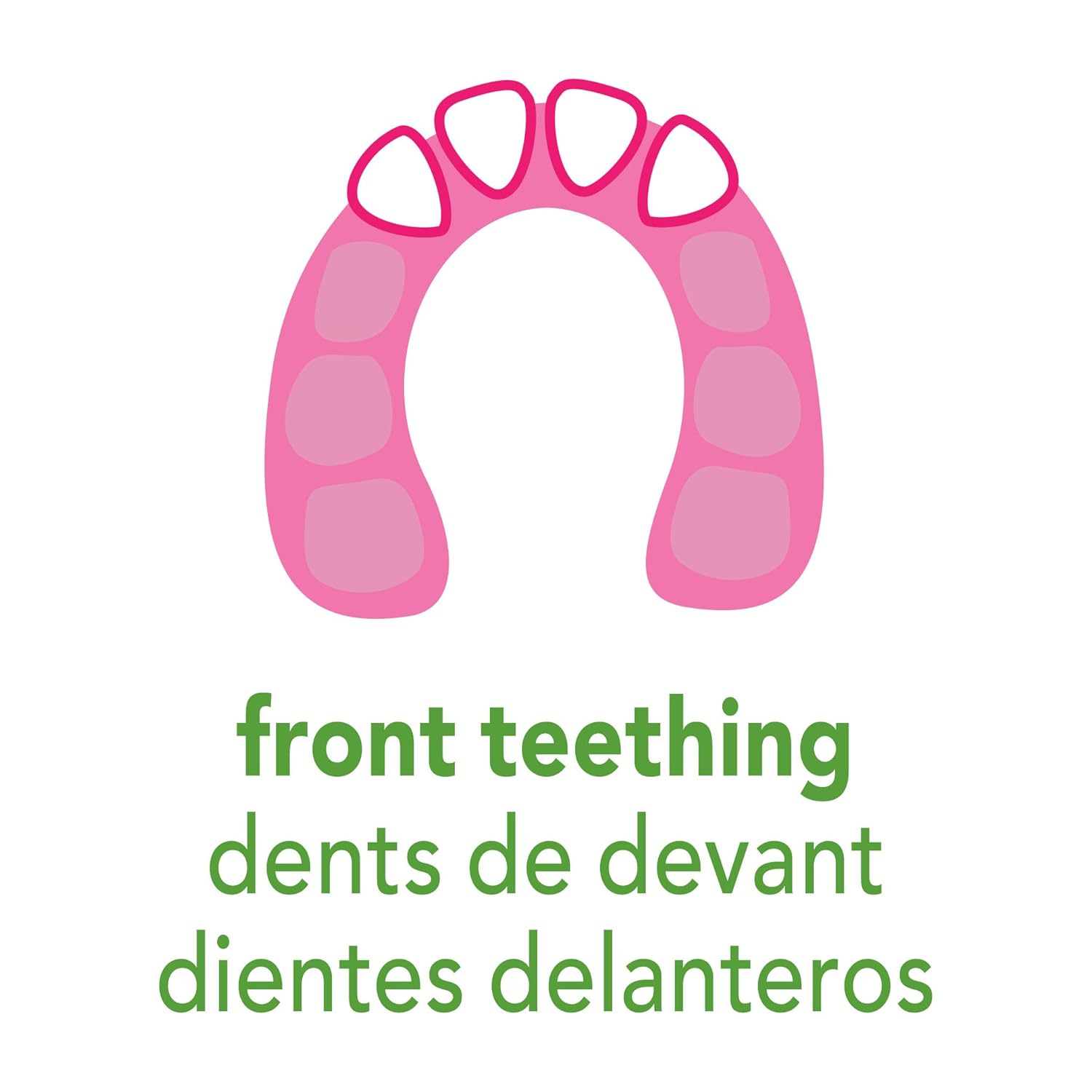 green sprouts Cooling Teether | Soothes Gums & Promotes Healthy Oral Development | Safer Plastic Filled with sterilized Water, Chill for Extra Relief, Textured Surface to Massage Gums : Baby Teether Toys : Baby