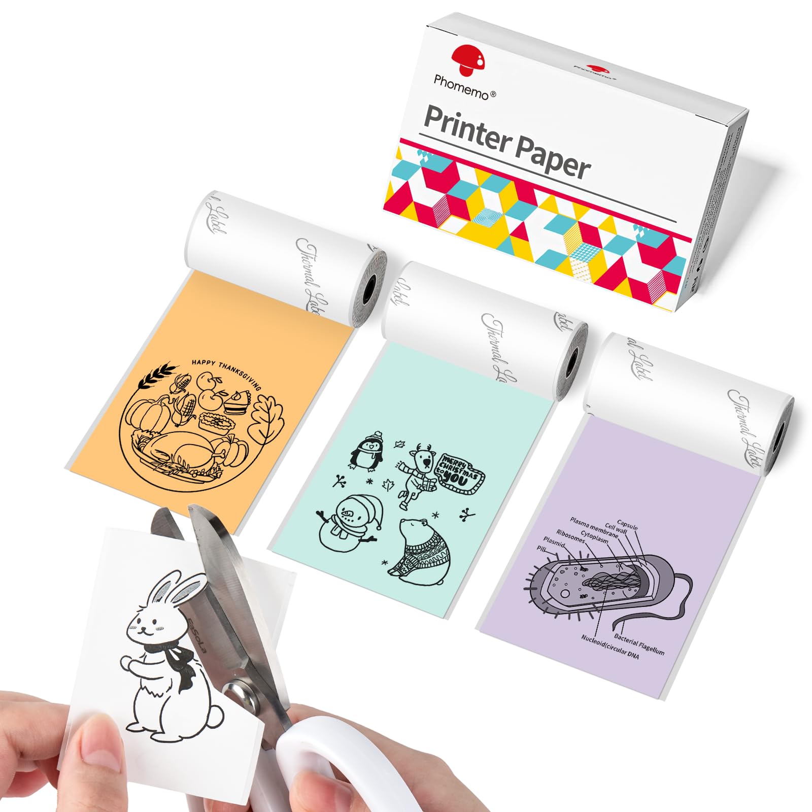Phomemo Color Printer Paper for M02/M02Pro/M02S/P2S/M03/M04S/M04AS Mini Thermal Printer, Mint Green/Purple/Orange Sticker Paper, 50 mm x 3.5 m, 3 Rolls
