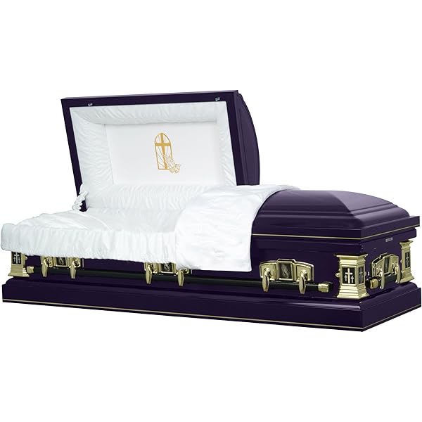Amazon.com: Titan Casket Atlas XL Series Steel Casket (29