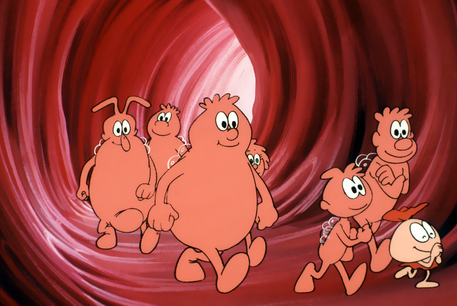 Es war einmal … Das Leben [6 DVDs] 6