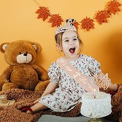 4th Birthday Decorations for Girl Including