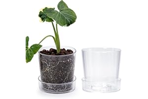 Phoenix Vine 4.5 Inch Clear Acrylic Planter Pot with Tray, Orchid Pot with Drainage Holes, Deep Saucer for Bottom Watering, Transparent Containers for Indoor Plants, Herbs, Set of 2, 91-A-E-2
