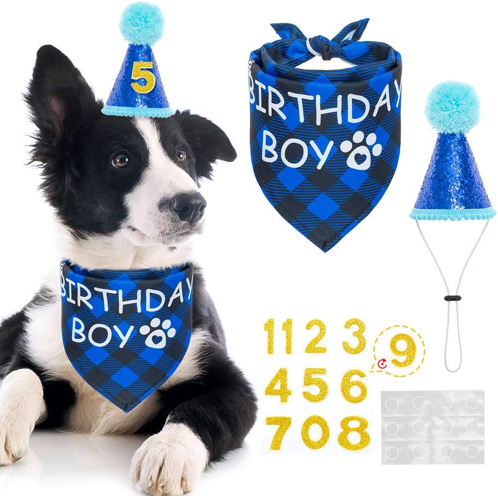 Dog birthday bandana and hat Clearance