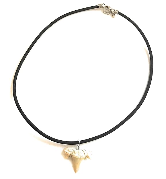 galerie-raumhoch Surferkette-Haizahn,Halskette Herren,Schmuck Herren,Fossil Kette Haizahn am Kautschukband,Kette Herren,Halsk
