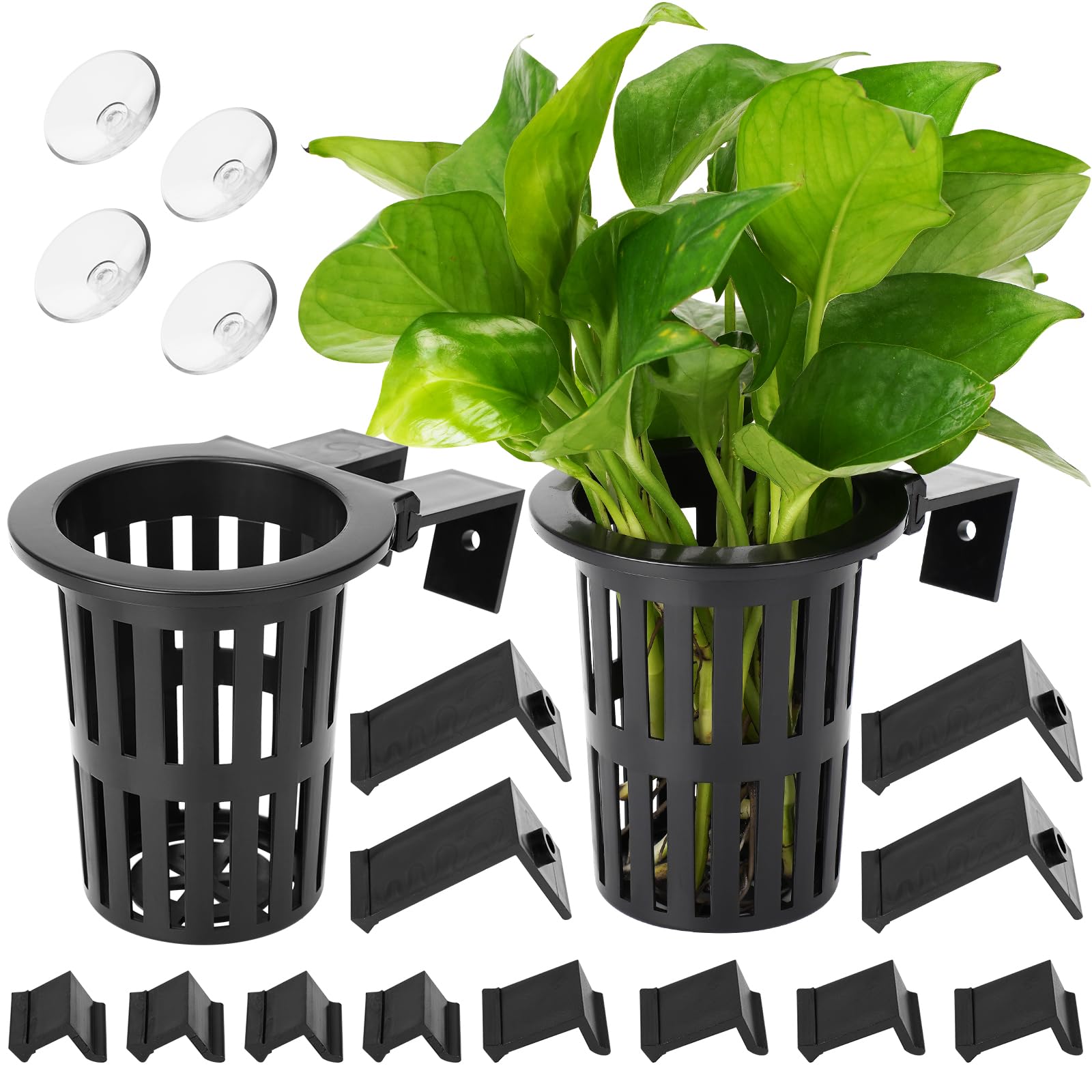 Photo 1 of 2025 New Upgraded Large Aquarium Plant Holder with 1.57-inch Extension Hooks and Suction Cups for Fish Tank Aquaponic Plant Cultivation and Aquascape Accessories Decorations (2 PCS)
