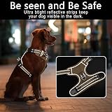 HEELE Dog Harness No Pull Small Bronze XS Reflective Easy Release Neck Clip view 6