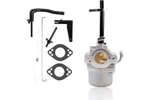 PRUNKUAR Carburetor for Briggs & Stratton 5000 5550 6200 8550 10HP GenPower 305 697978 796321 696132 696133 796322 697351 699958 699966 698455 695918 694952 695919 695330 796323 695920 695328 Carburetor