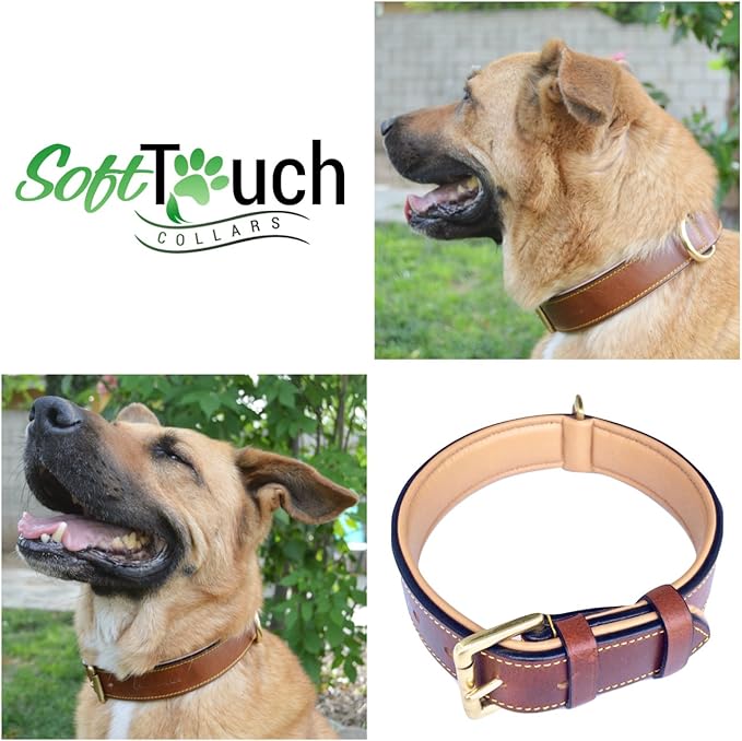 soft touch collars amazon