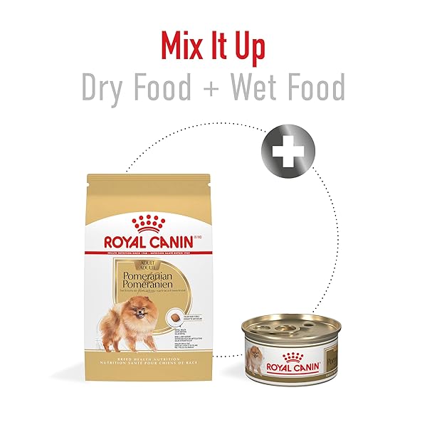 ROYAL CANIN BREED HEALTH NUTRITION POMERANIAN DRY DOG FOOD, 2.5 LB BAG