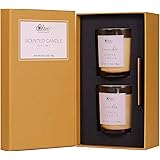 Scented Candles Gift Set - Natural Soy Wax Aromatherapy Set, 2x3.5Oz Natural Essential Oil Long Lasting Candles, Aromatherapy