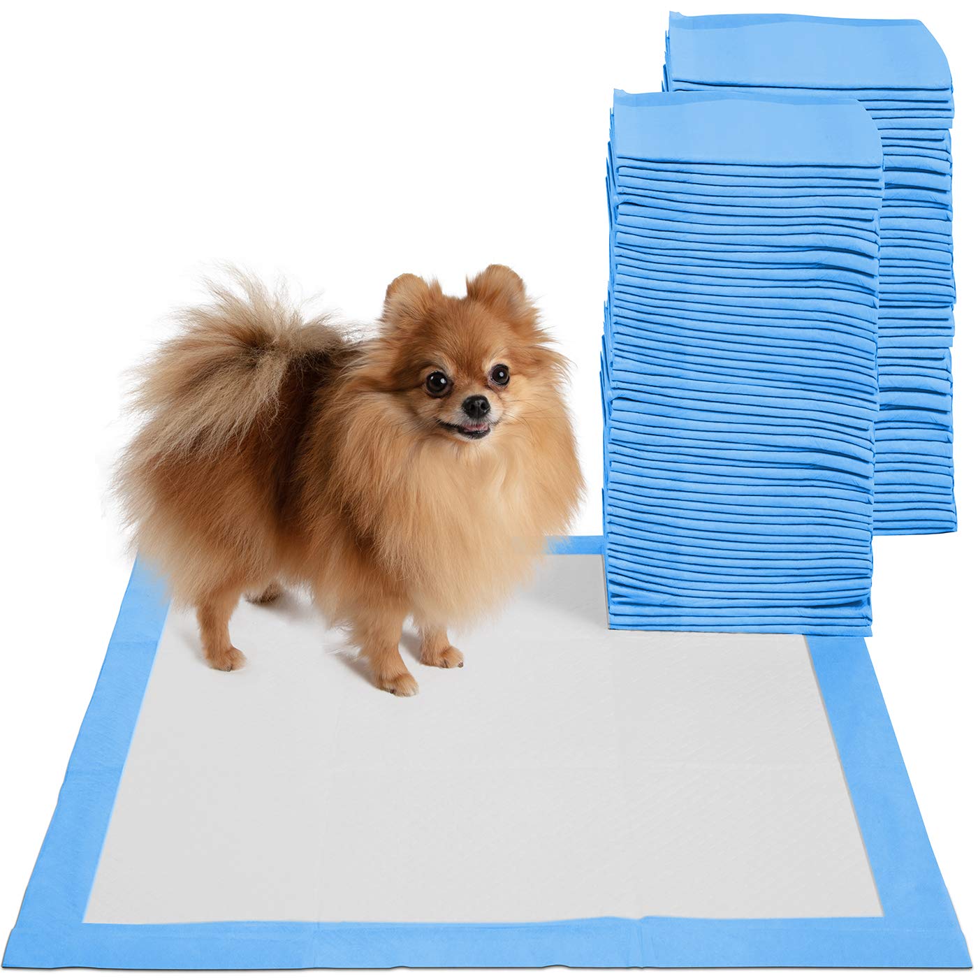 Your Dog Getting Puppy To Use Pee Pad Puppy Pads Dog Pee Pad For