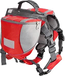 small reflective travel backpack