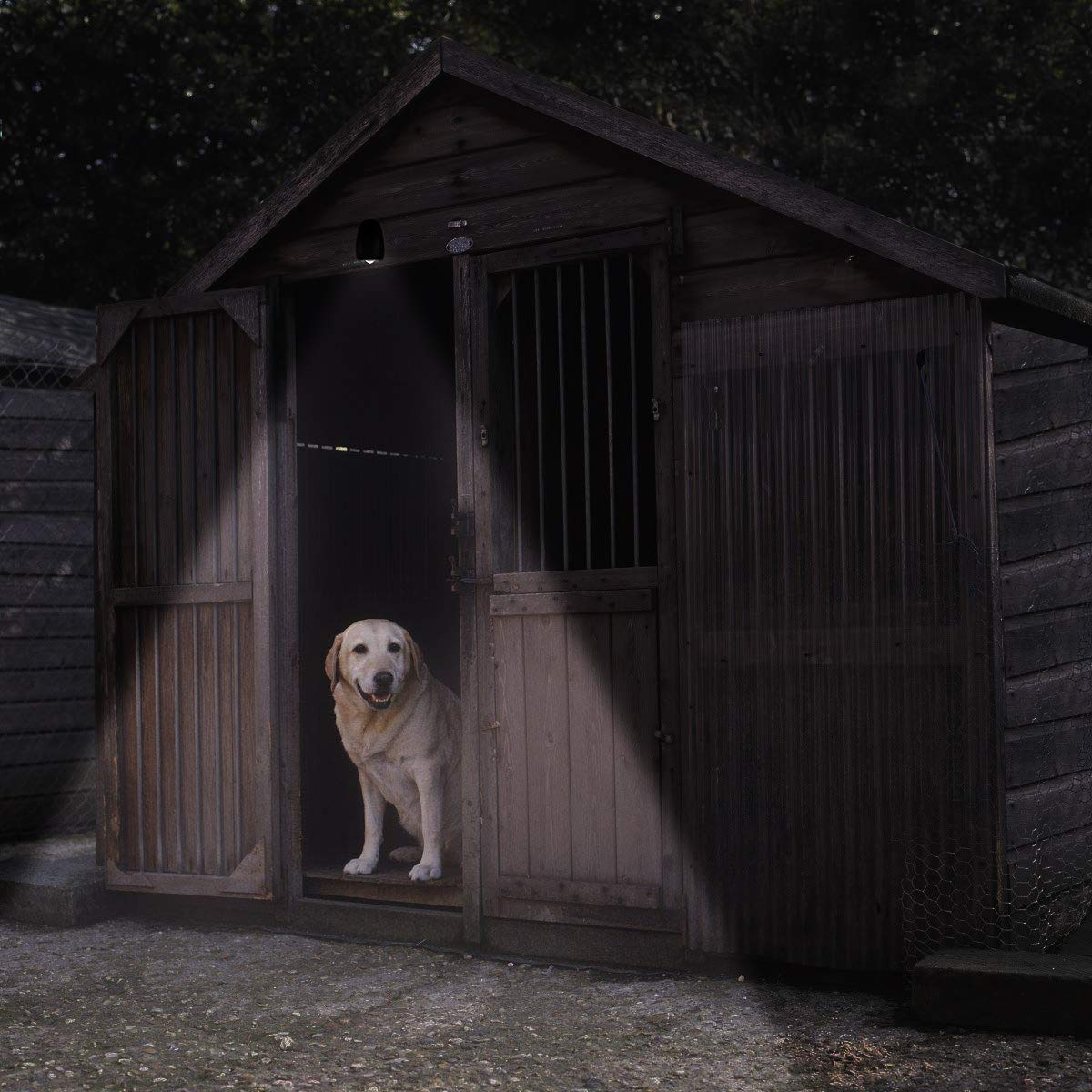 Motion Sensor LED Indoor Spotlight - Wireless Battery Powered Fulcrum Night Lights for Hallway, Porch, Aisle（Black-2 Pack）