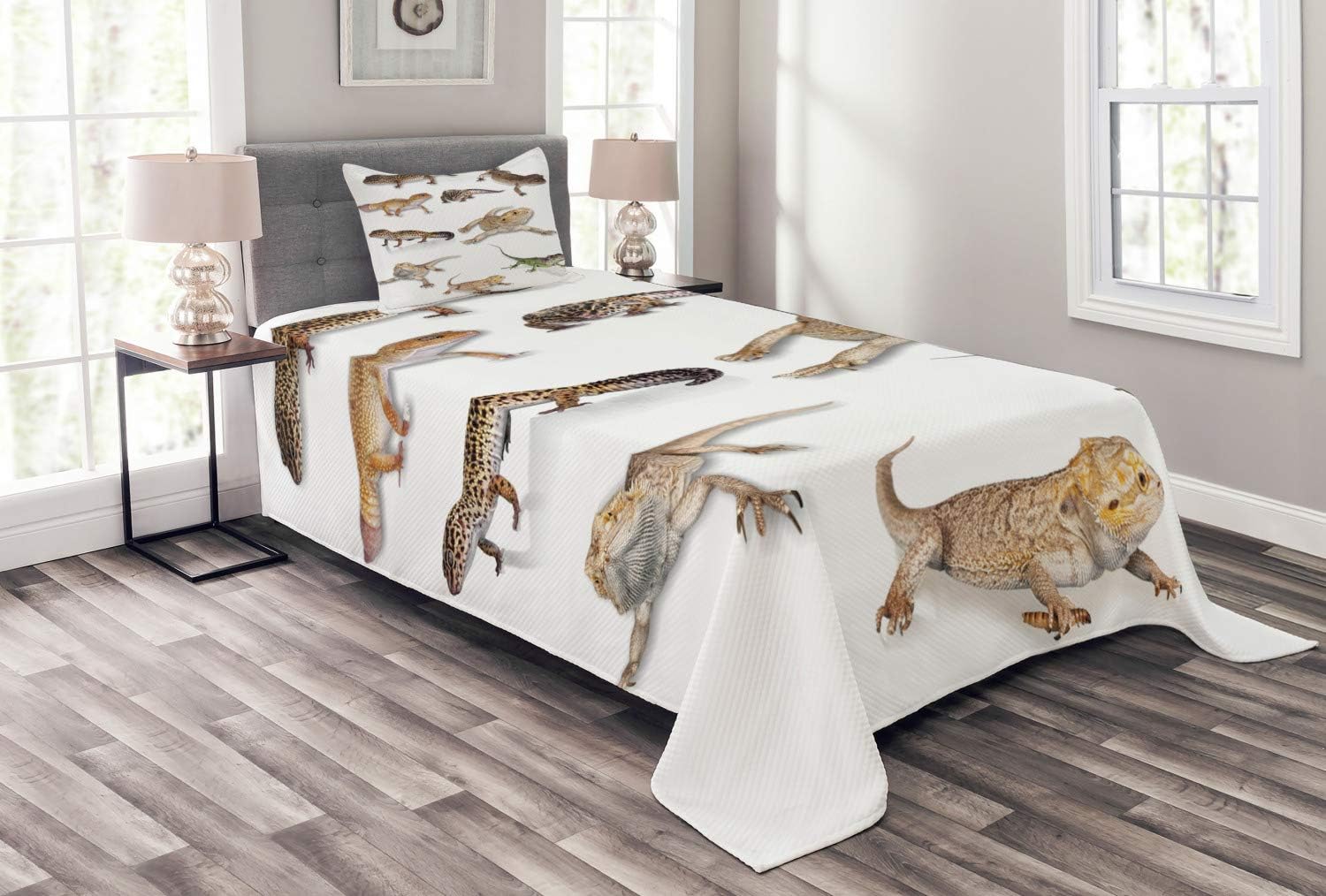 leopard gecko furniture