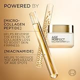 L'Oreal Paris Age Perfect Re-Hydrating Day Cream 50ml Mature Skin Firms & view 3