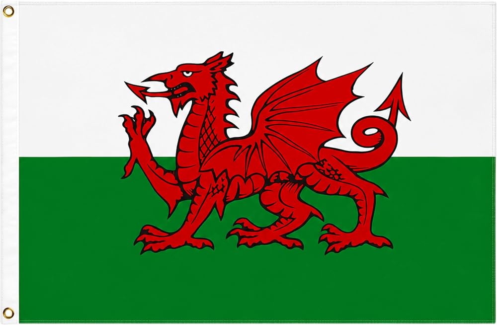 SHATCHI 5ft x 3ft Wales Welsh Dragon Flag Polyester with 2 Eyelets