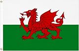 SHATCHI 5ft x 3ft Wales Welsh Dragon Flag Polyester with 2 Eyelets