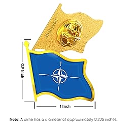 North Atlantic Treaty Organization Flag Lapel Pin
