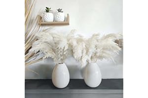 ROOLLYA 30 Stems White Pampas Grass Fluffy, Boho Home Decor, Natural Fluffy Pompas Grass Natural Pampas for Living Room Decor, Table Decor, Boho Decor, Party Wedding Decor, Gift (17.7 inch, 30 White )
