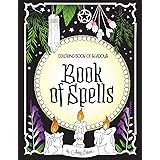 Download Coloring Book Of Shadows Cesari Amy Cesari Amy 9781539502630 Amazon Com Books