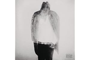 Hndrxx (Vinyl)